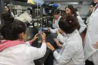 Argendata muestra que la inversión en la ciencia argentina cae al nivel más bajo en 20 años