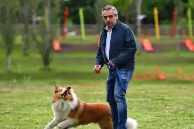 Murió Dylan, el perro que acompañó a Alberto Fernández en la Quinta de Olivos