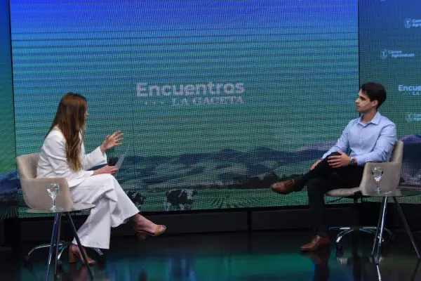 De la naranja a la palta Hass: la audacia tucumana que transformó un cultivo tradicional