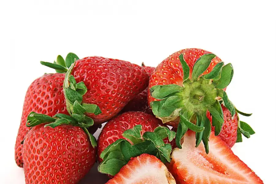 De un hobby de Navidad al éxito: la historia del gin taficeño que nació en el quincho de una casa