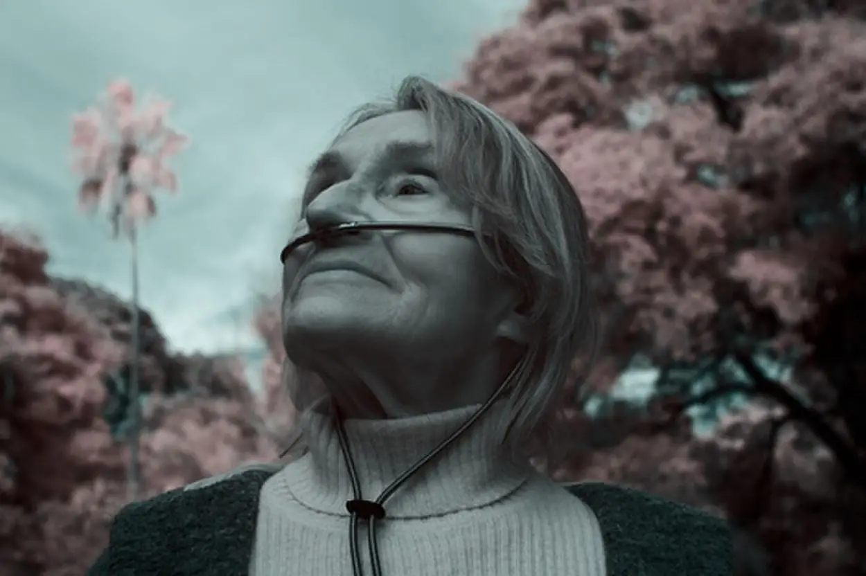 Estrenos de cine: magia, acción, trampas y comedia en una secuela