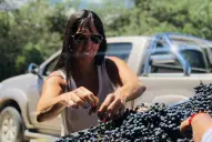 De la crisis al legado: cómo una familia tucumana convirtió el sueño de un padre en un vino premiado