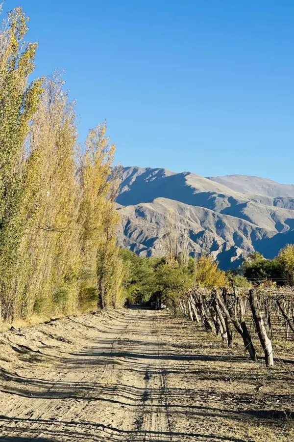 El paisaje que ofrece El Bañado es una tentación para los turistas. 