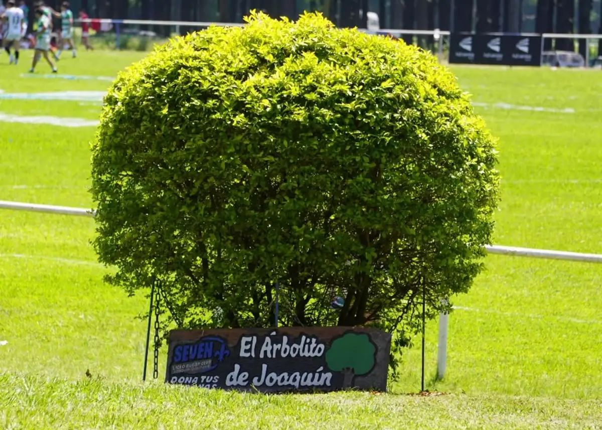 UN HOMENAJE. El club plantó un arbolito para recordar a Joaquín Quintana.