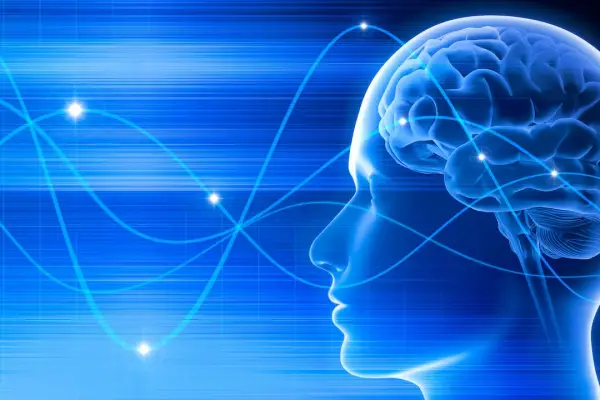 Científicos descubren que los seres humanos tendrían un "séptimo sentido": de qué se trata