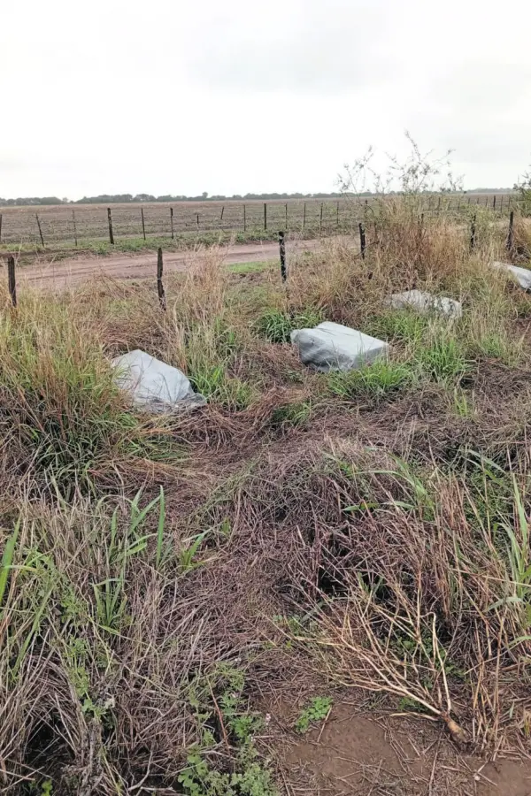 UN DATO. La droga era transportada en bolsas arpilleras.