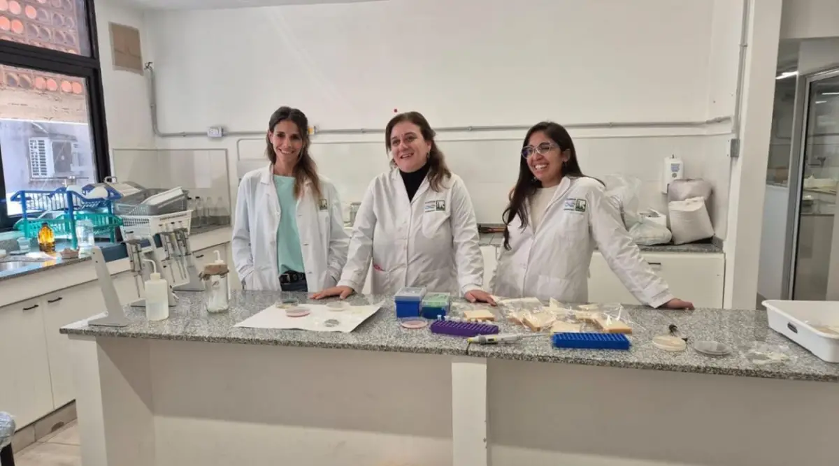 Presente y futuro de BioBlends, según la visión de sus científicas