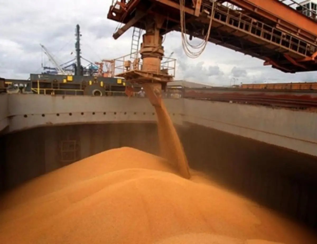 El Senasa realizó un balance de lo hecho desde fines de 2023