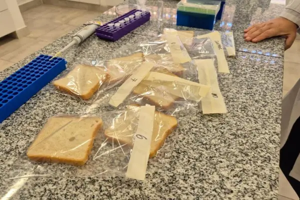 Los aprendizajes que dejó en la Eeaoc la incubación de BioBlends