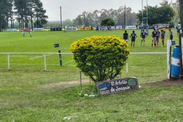 El arbolito de Joaquín: el símbolo que crece a la par de la cancha principal de Liceo RC