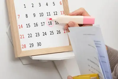 Calendario de noviembre y diciembre: cuál es la diferencia entre el feriado y el día no laborable