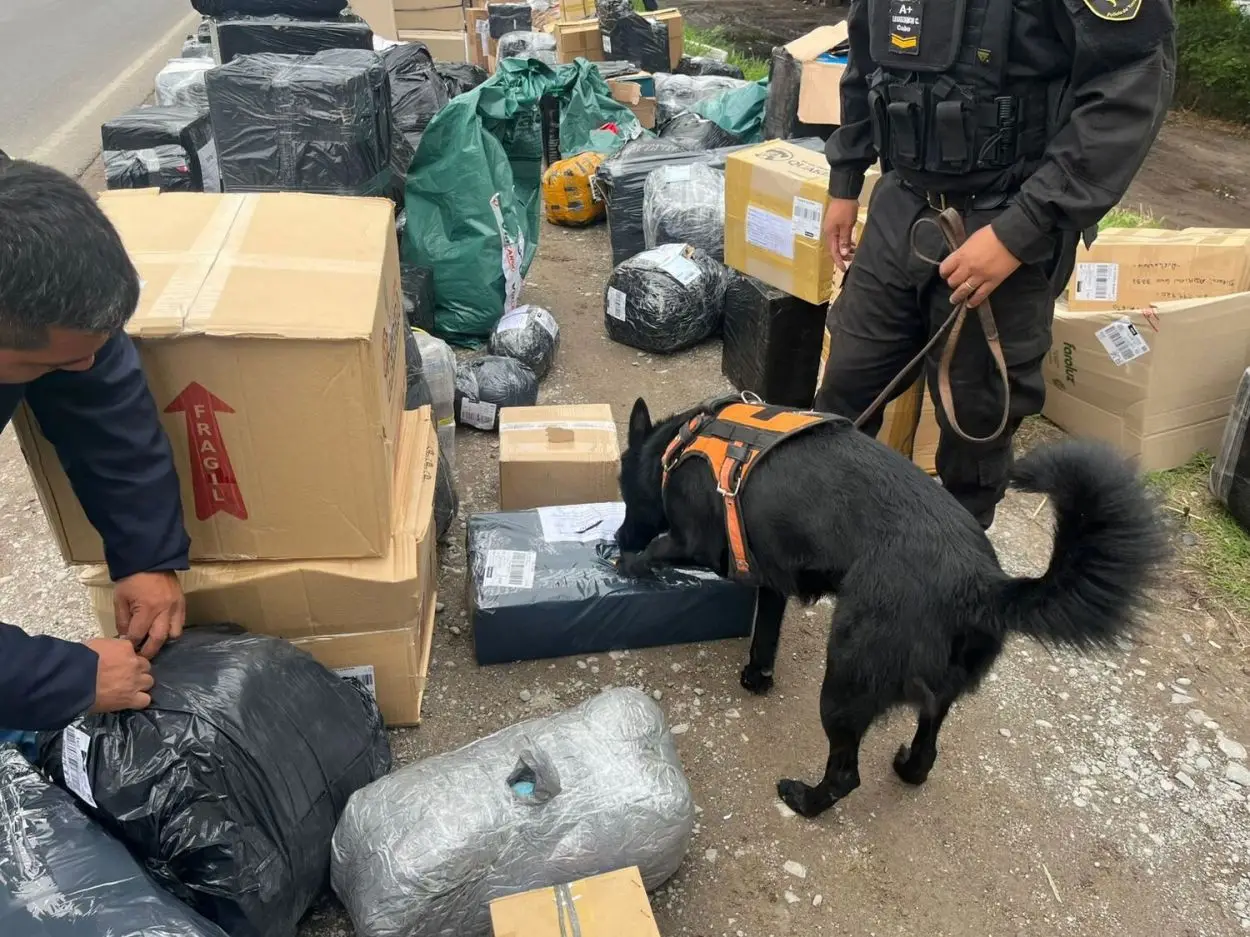 Lucha contra el narcotráfico y el contrabando: ¿Por qué es clave el Operativo Lapacho?