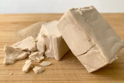 Cómo destapar cañerías con levadura fresca: ¿por qué funciona?