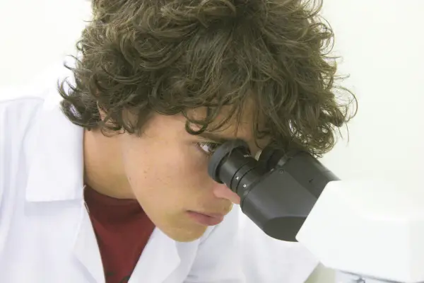 Resultados de las BEI 2025: la UNT amplió el cupo y dio 133 becas estudiantiles de investigación