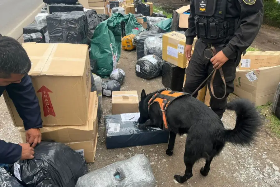 Lucha contra el narcotráfico y el contrabando: ¿Por qué es clave el Operativo Lapacho?