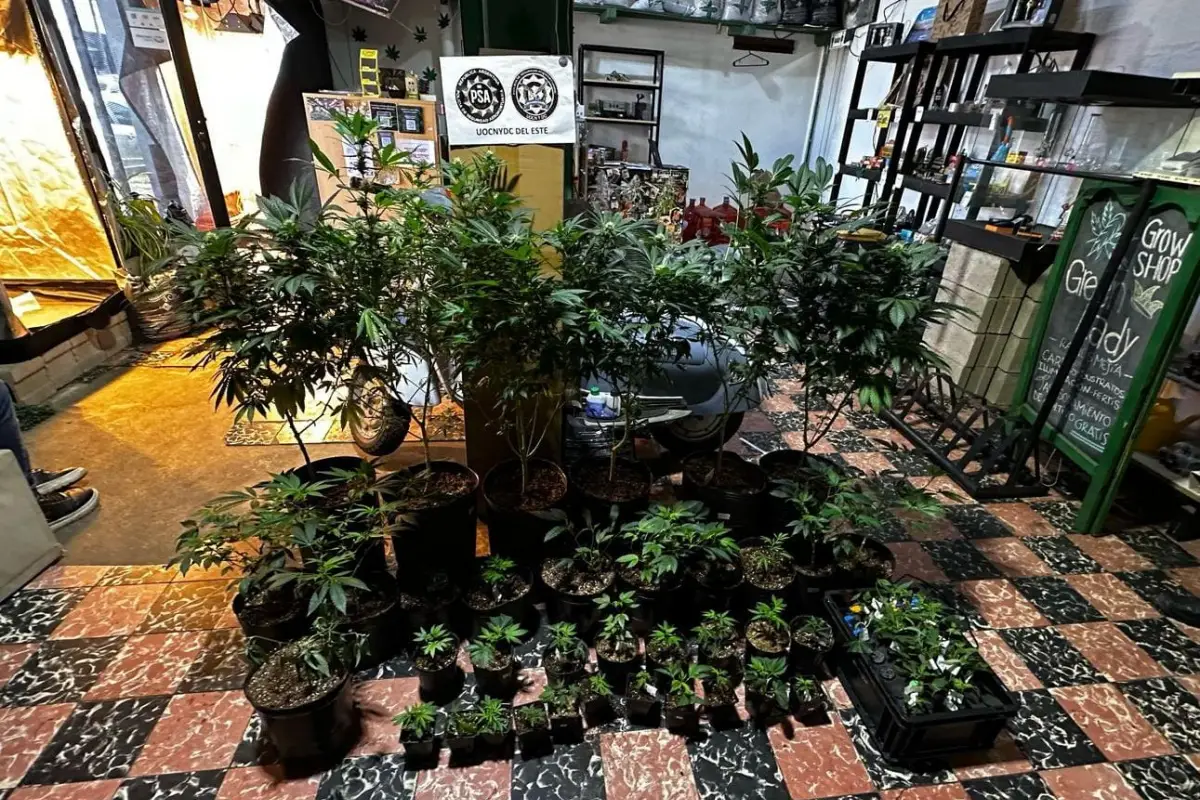 Secuestro de droga. PSA