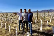 El ritual de la cata familiar: la fórmula de Ostengo Wines para hacer vinos de alta gama