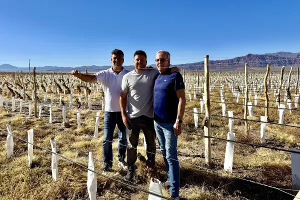 El ritual de la cata familiar: la fórmula de Ostengo Wines para hacer vinos de alta gama