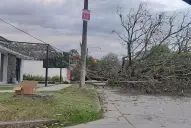 Los fuertes vientos provocaron la caída de ramas y cortes de luz en diferentes puntos de la provincia