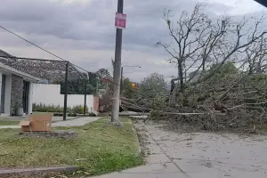 Los fuertes vientos provocaron la caída de ramas y cortes de luz en diferentes puntos de la provincia