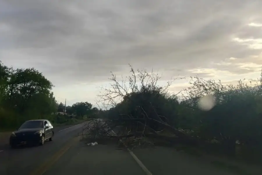 Ráfagas de 100 km/h, granizo y caos: qué provocó la violenta tormenta en Tucumán y cómo seguirá el tiempo