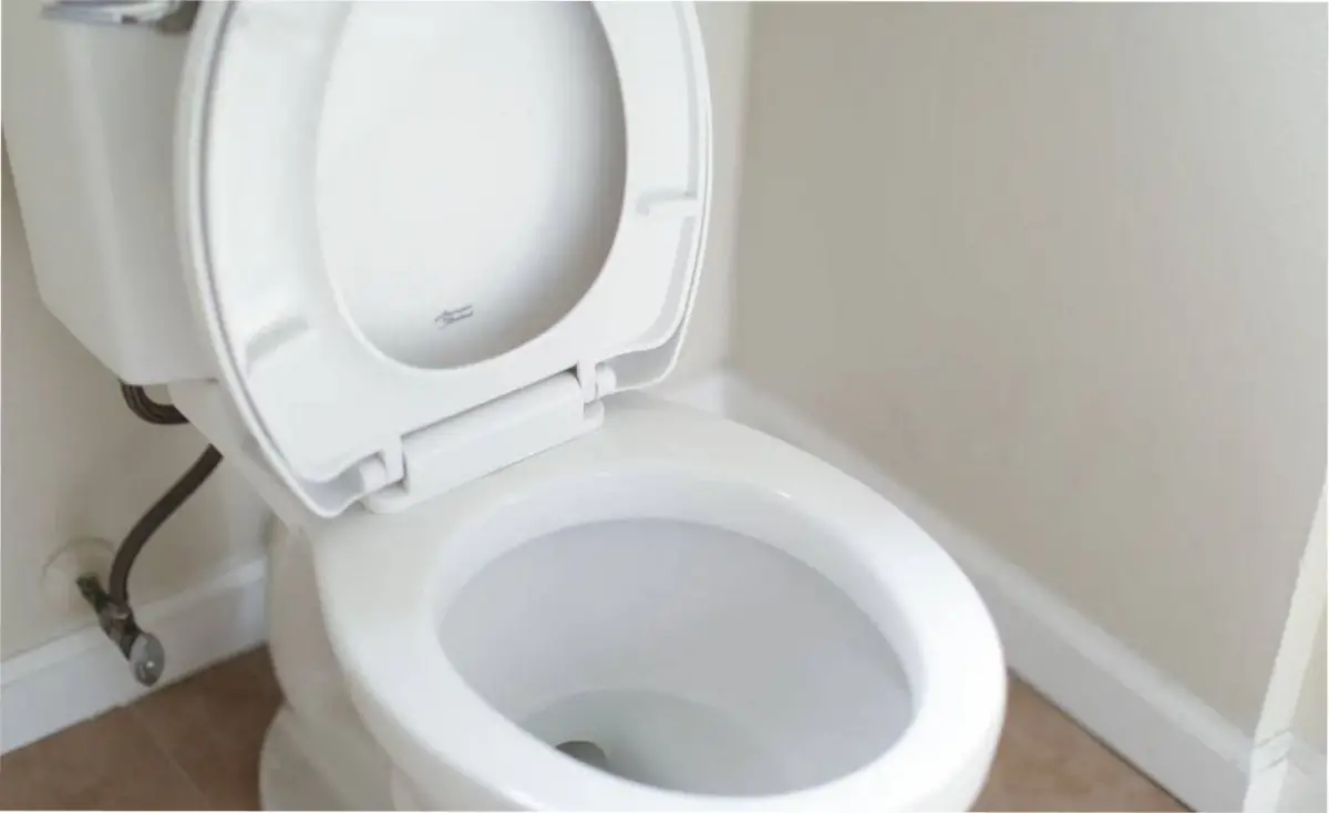 Cómo limpiar el inodoro en sencillos pasos.