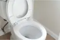 Impecable de la noche a la mañana: el truco para limpiar el inodoro sin mover un dedo