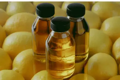 Agro: la mejor performance exportadora interanual en siete años