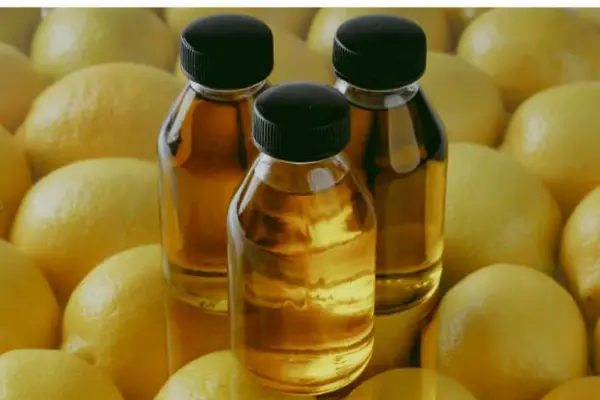 Agro: la mejor performance exportadora interanual en siete años