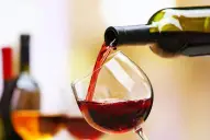 “Se lo dijimos en la cara a Sturzenegger”: qué responde el sector vitivinícola a las nuevas medidas