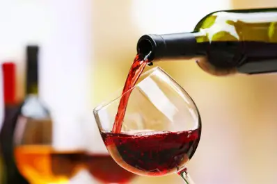 “Se lo dijimos en la cara a Sturzenegger”: qué responde el sector vitivinícola a las nuevas medidas