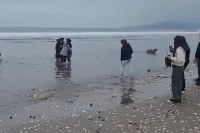 Chile dio por finalizada la búsqueda del joven argentino desaparecido en el mar: así fue la conmovedora despedida familiar