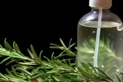 Licuar romero y vinagre: para qué sirve esta mezcla que llegó para quedarse