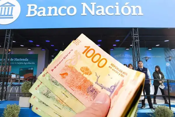 Préstamos del Banco Nación: ¿cuánto tenés que pagar por mes si pedís $1.000.000?