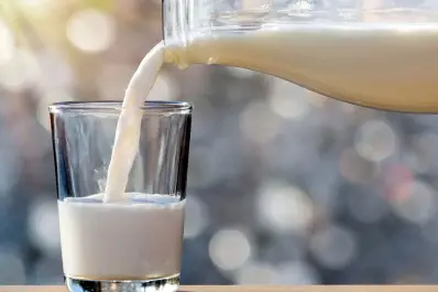 Conocé cuáles son los increíbles beneficios de aplicar leche cruda en la cara