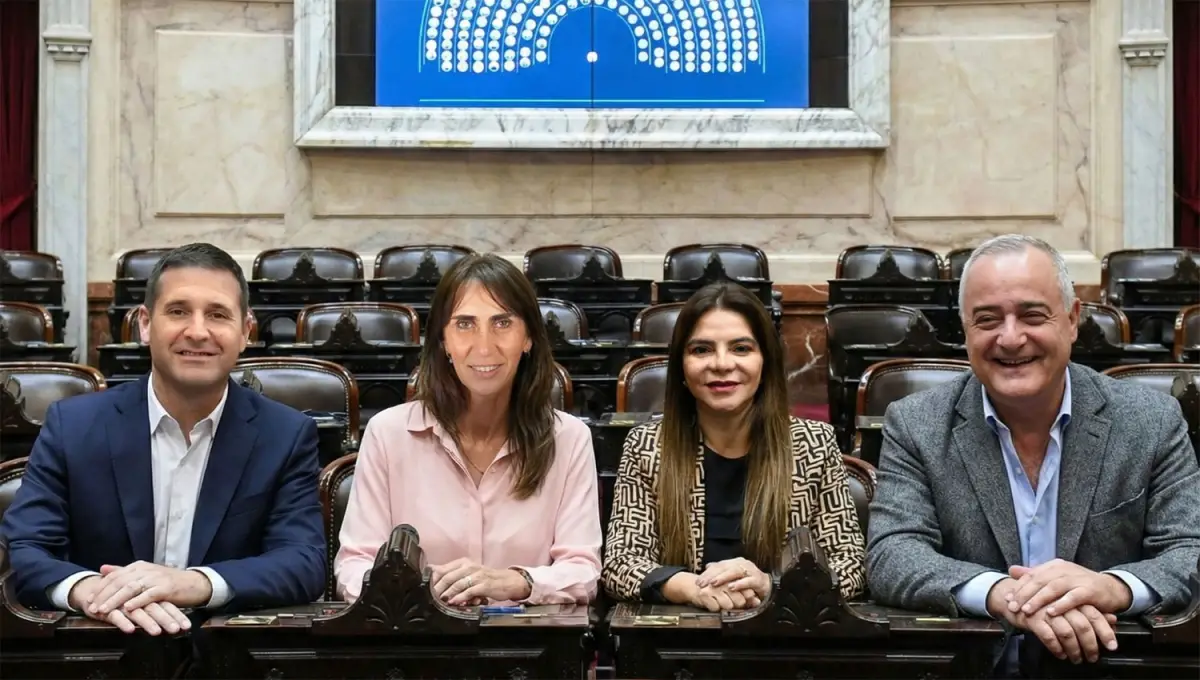 NUEVOS DIPUTADOS. La próxima semana jurarán en el Congreso los representantes tucumanos Federico Pelli, Soledad Molinuevo, Gladys Medina y Javier Noguera.