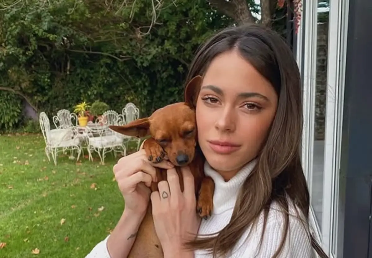 ¿Cómo es la lujosa mansión de Tini Stoessel?: combina privacidad y minimalismo