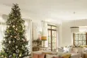 Cuándo poner el árbol de Navidad para tener buena suerte en 2026, según una experta en Feng Shui