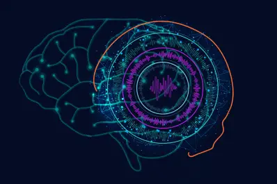 La memoria biológica inspira a Google para crear modelos de IA más flexibles