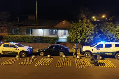 Transportaban más de 200 kilos de marihuna, intentaron evadir un control y terminaron detenidos