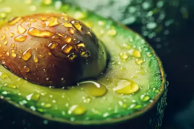 El mejor truco casero que permite conservar la palta por más tiempo y evitar que se oscurezca