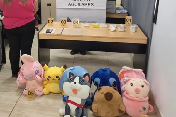 Pikachu, Stitch y un capibara, atrapados con casi tres kilos de cocaína en la ruta 38
