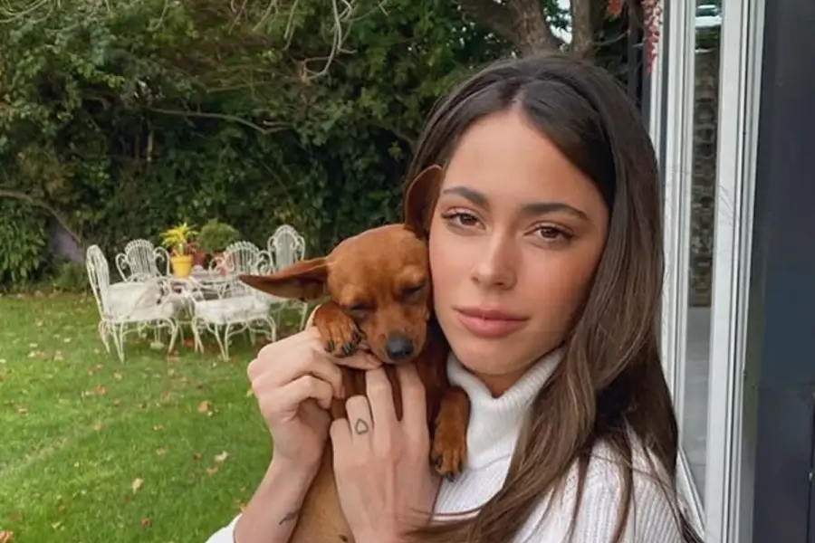 ¿Cómo es la lujosa mansión de Tini Stoessel?: combina privacidad y minimalismo