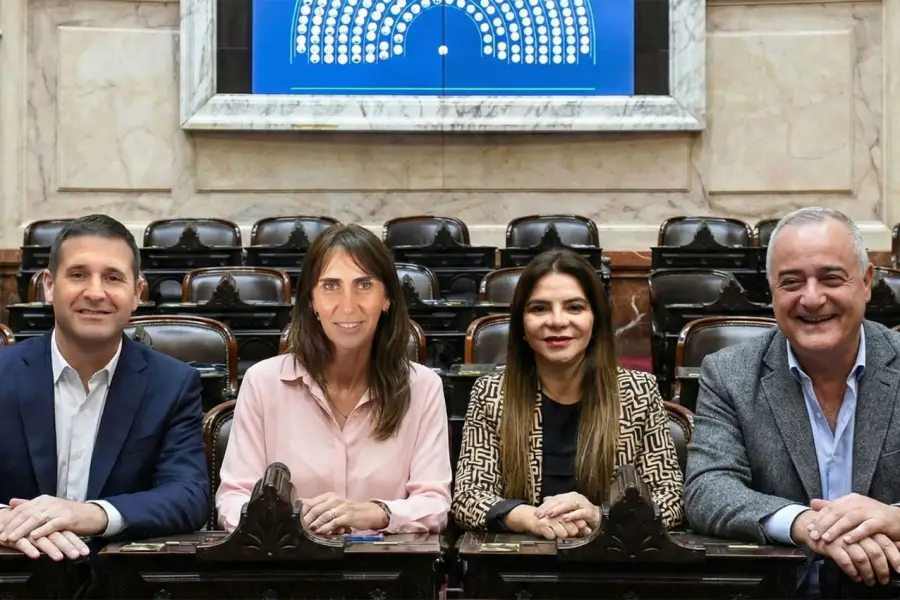 NUEVOS DIPUTADOS. La próxima semana jurarán en el Congreso los representantes tucumanos Federico Pelli, Soledad Molinuevo, Gladys Medina y Javier Noguera.