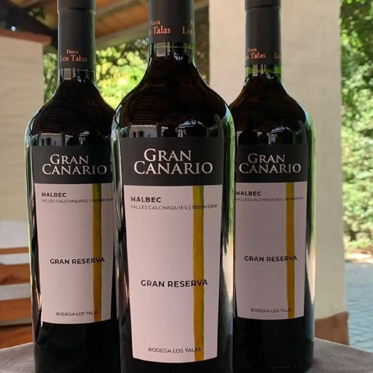 EL SUEÑO DE PAPÁ. Gran Canario es un vino que se hace cada dos años en Finca Los Talas. 