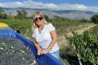 La herencia toscana en Colalao del Valle: el deber de una hija que rescató una joya en barricas olvidadas