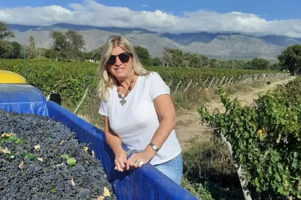 La herencia toscana en Colalao del Valle: el deber de una hija que rescató una joya en barricas olvidadas