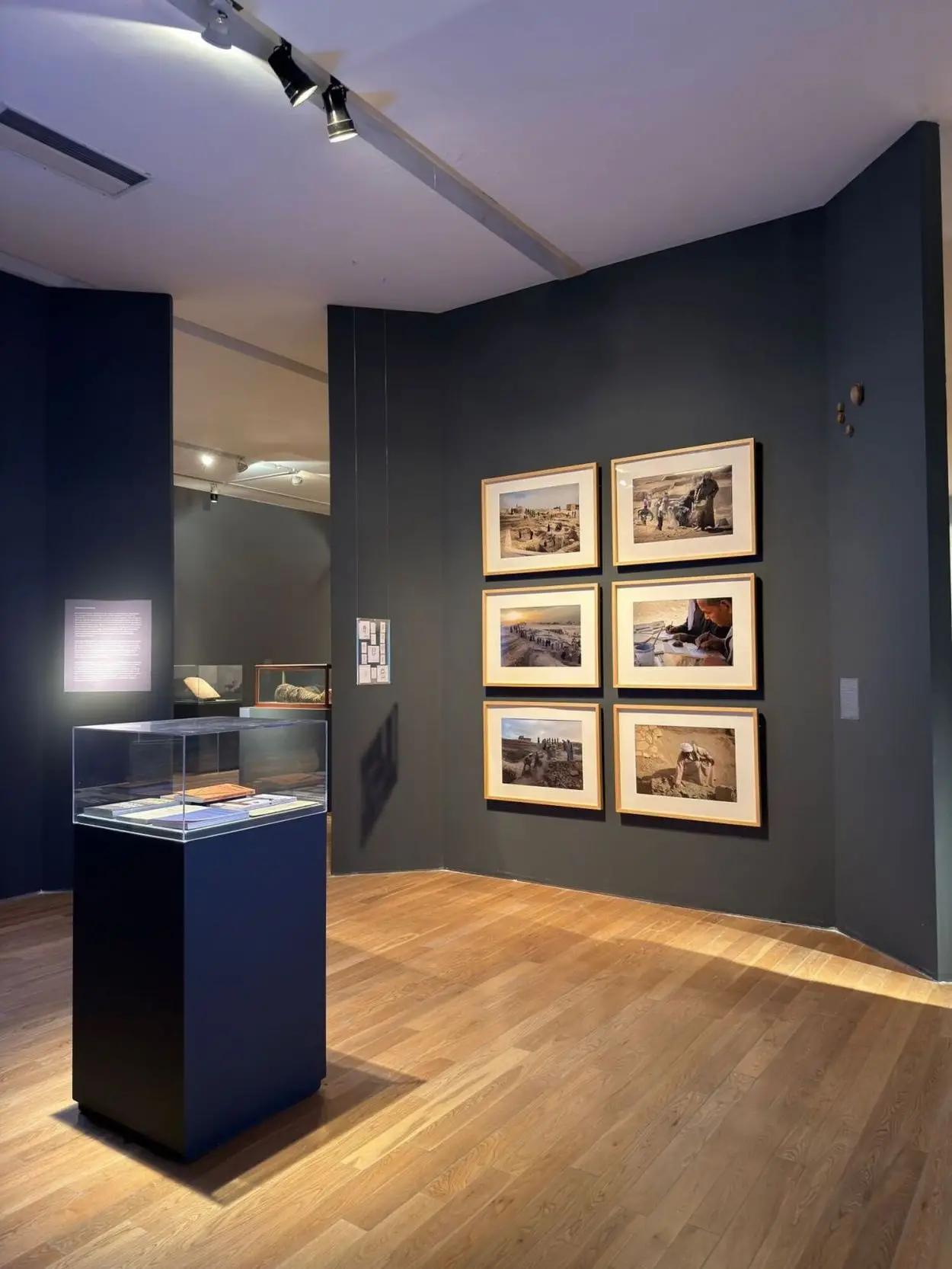 EN BUENOS AIRES. Así se ve la muestra curada por el dúo Baur-Burucúa.