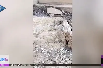 Impactantes imágenes: así quedó el río Chirimayo tras la muerte de miles de peces