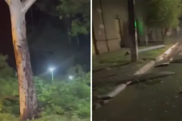 Un fuerte temporal castigó Trancas y provocó la caída de árboles y voladura de techos